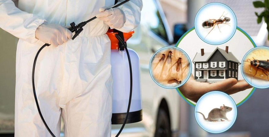 Çivril Böcek İlaçlama