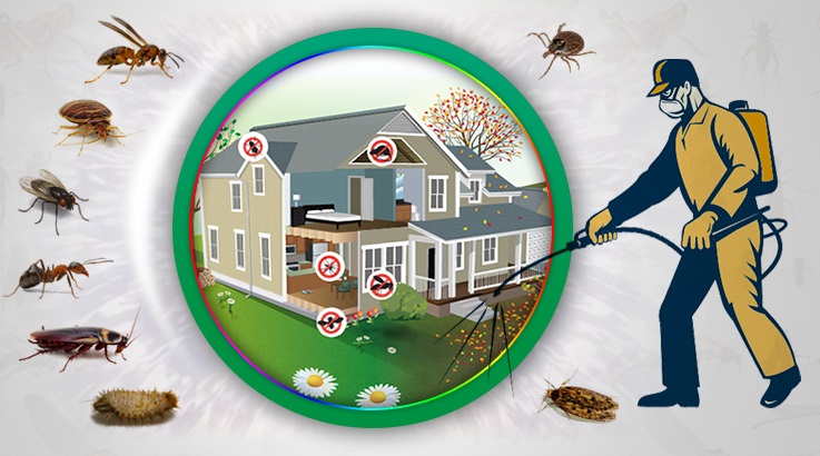 Çivril Böcek İlaçlama