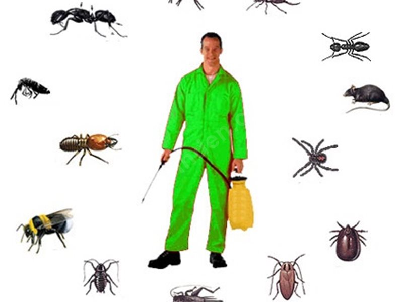 Çivril Böcek İlaçlama